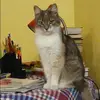 Отзыв от Нинель Королькова